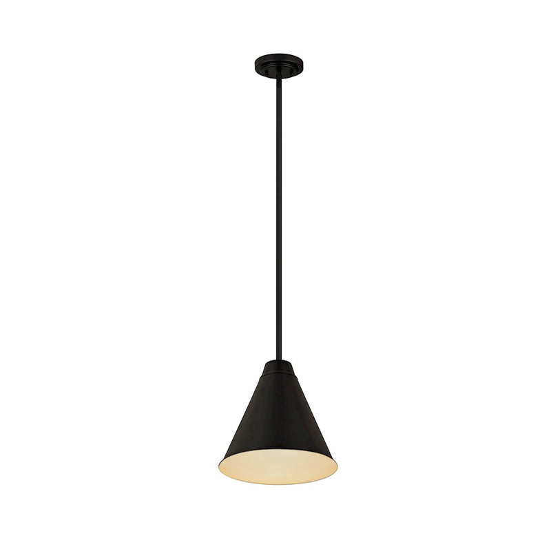 Z-Lite Eaton 1 Light 12" Pendant, Matte Black
