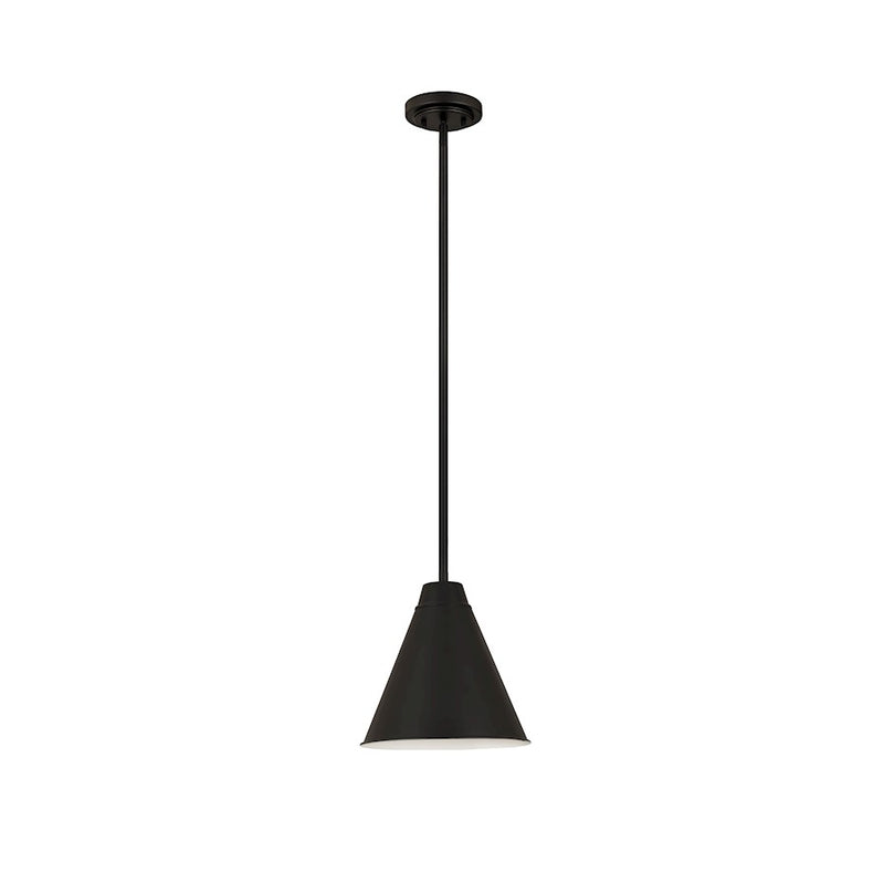 Z-Lite Eaton 1 Light 12" Pendant, Matte Black