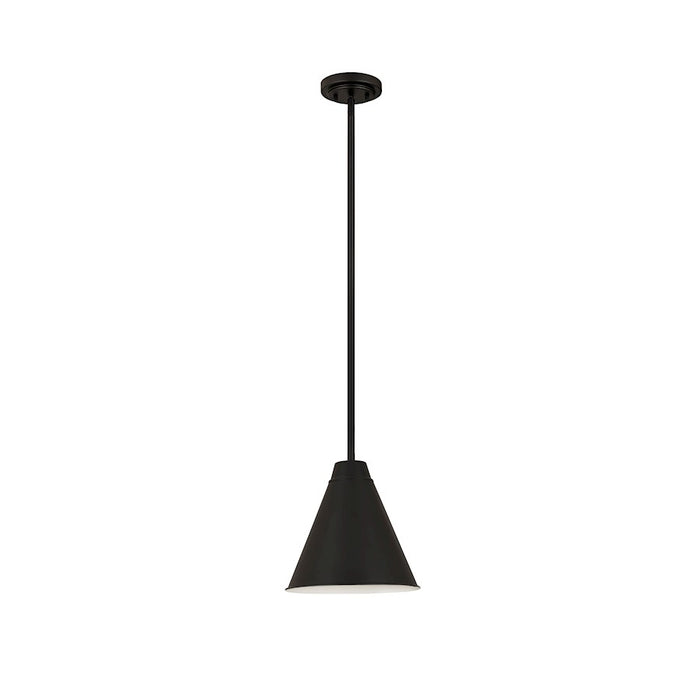 Z-Lite Eaton 1 Light 12" Pendant, Matte Black