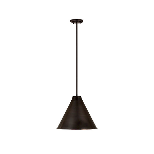 Z-Lite Eaton 1 Light 18" Pendant, Bronze Plate