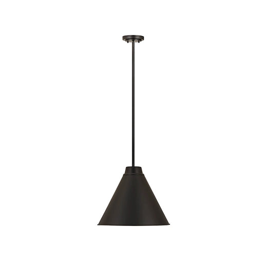 Z-Lite Eaton 1 Light 18" Pendant, Matte Black