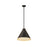 Z-Lite Eaton 1 Light 18" Pendant, Matte Black