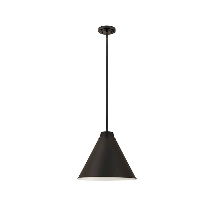 Z-Lite Eaton 1 Light 18" Pendant, Matte Black