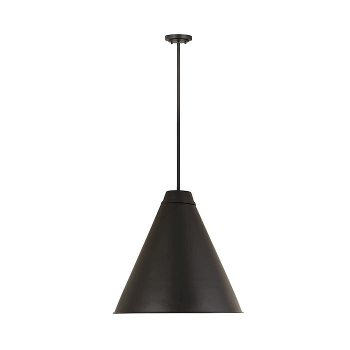 Z-Lite Eaton 1 Light Pendant, Matte Black