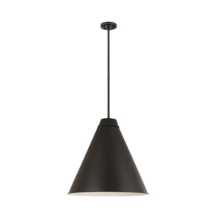 Z-Lite Eaton 1 Light Pendant, Matte Black