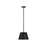 Z-Lite Maddox 1 Light 12" Chandelier, Matte Black