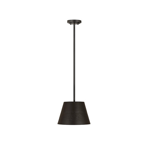 Z-Lite Maddox 1 Light 12" Chandelier, Matte Black