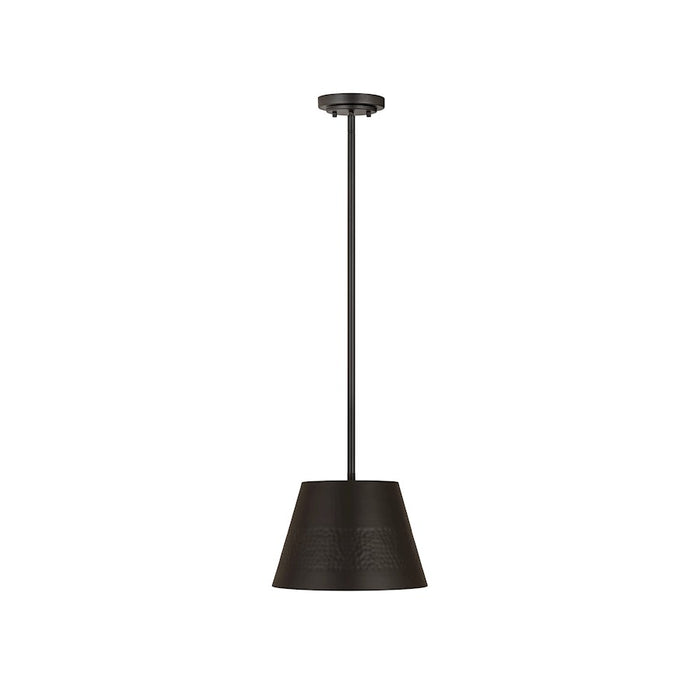 Z-Lite Maddox 1 Light 12" Chandelier, Matte Black