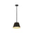Z-Lite Maddox 1 Light 12" Chandelier, Matte Black