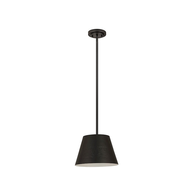 Z-Lite Maddox 1 Light 12" Chandelier, Matte Black