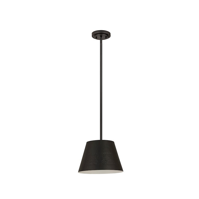 Z-Lite Maddox 1 Light 12" Chandelier, Matte Black