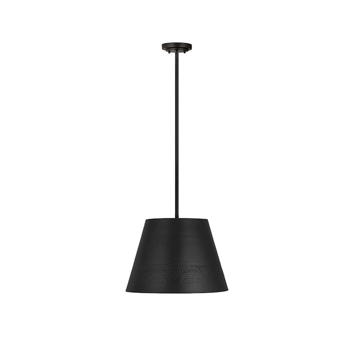 Z-Lite Maddox 1 Light 18" Chandelier, Matte Black