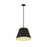 Z-Lite Maddox 1 Light 18" Chandelier, Matte Black