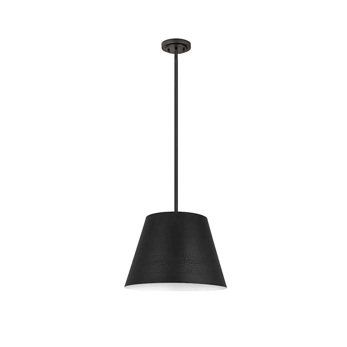 Z-Lite Maddox 1 Light 18" Chandelier, Matte Black