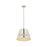 Z-Lite Maddox 1 Light 18" Chandelier, Polished Nickel