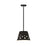 Z-Lite Katie 1 Light 12" Chandelier, Matte Black - 6014-12MB