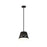 Z-Lite Katie 1 Light 12" Chandelier, Matte Black