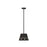 Z-Lite Katie 1 Light 12" Chandelier, Matte Black