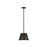 Z-Lite Katie 1 Light 12" Chandelier, Matte Black
