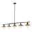 Z-Lite Casa 5 Light 9" Island/Billiard, Black/Factory Brass