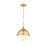 Z-Lite Peyton 2 Light 15" Pendant, Classic Brass/Classic Brass