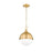 Z-Lite Peyton 2 Light 15" Pendant, Classic Brass/Classic Brass