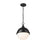 Z-Lite Peyton 2 Light 15" Pendant, Matte Black/Matte Black