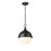 Z-Lite Peyton 2 Light 15" Pendant, Matte Black/Matte Black