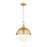 Z-Lite Peyton 2 Light 18.5" Pendant, Classic Brass/Classic Brass
