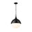 Z-Lite Peyton 2 Light 18.5" Pendant, Matte Black/Matte Black