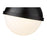 Z-Lite Peyton 2 Light 18.5" Pendant, Matte Black/Matte Black