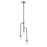 Z-Lite Neutra 3 Light 29" Chandelier, Black/Polished Nickel/Clear