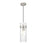 Z-Lite Fontaine 1 Light 5.75" Pendant, Brushed Nickel/Clear Water