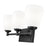 Z-Lite Oren 3 Light Vanity, Matte Black/Matte Opal