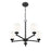 Z-Lite Oren 5 Light Chandelier, Matte Black/Matte Opal