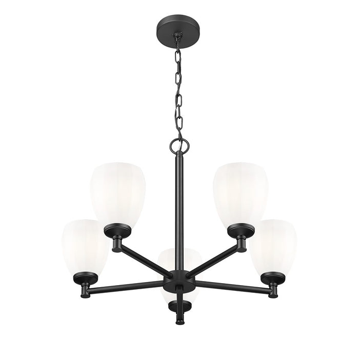Z-Lite Oren 5 Light Chandelier, Matte Black/Matte Opal