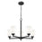 Z-Lite Oren 5 Light Chandelier, Matte Black/Matte Opal