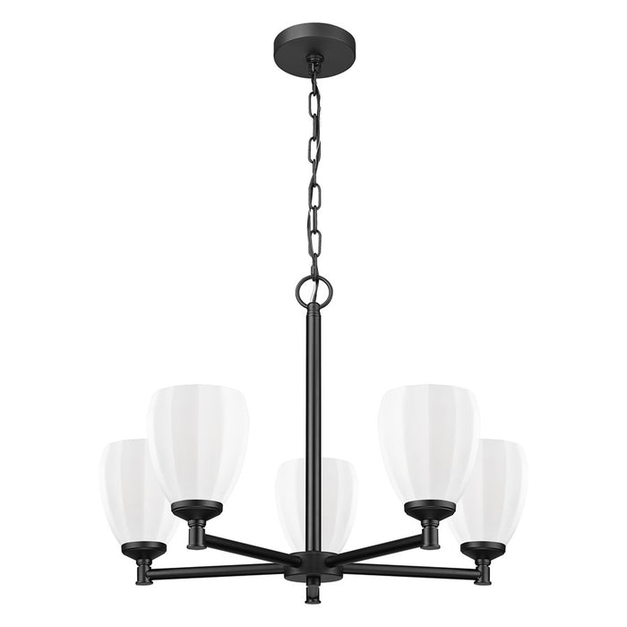 Z-Lite Oren 5 Light Chandelier, Matte Black/Matte Opal