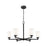 Z-Lite Oren 6 Light Chandelier, Matte Black/Matte Opal