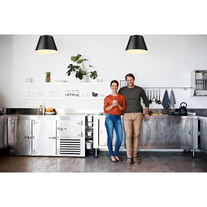 Z-Lite Z-Studio 1 Light Pendant, Black/Brushed Nickel/Black