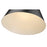 Z-Lite Z-Studio 1 Light Pendant, Black/Heritage Brass/Black