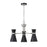 Z-Lite Soriano 3 Light 17" Chandelier, Black/Brushed Nickel/Black