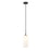 Z-Lite Monty 1 Light 17" Pendant, Matte Black/Opal