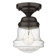 Z-Lite Vaughn 1 Light 9" Flush Mount, Bronze/Clear Seedy - 736F1-BRZ