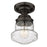 Z-Lite Vaughn 1 Light 9" Flush Mount, Bronze/Clear Seedy