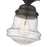 Z-Lite Vaughn 1 Light 9" Flush Mount, Bronze/Clear Seedy