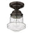 Z-Lite Vaughn 1 Light 9" Flush Mount, Bronze/Clear Seedy