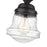 Z-Lite Vaughn 1 Light 9" Flush Mount, Matte Black/Clear Seedy