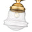 Z-Lite Vaughn 1 Light 16" Flush Mount, Heritage Brass/Clear Seedy