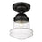 Z-Lite Vaughn 1 Light 16" Flush Mount, Matte Black/Clear Seedy